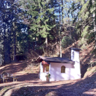 KOE_Wandertipp Gampelinalpe 9_jpg-1297187945