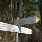 KOE_Wandertipp Gampelinalpe 15_jpg-1297187996