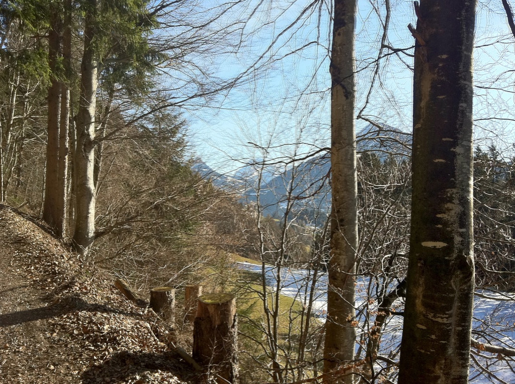 KOE_Wandertipp Gampelinalpe 16_jpg-1297188007