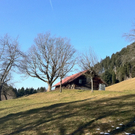 KOE_Wandertipp Gampelinalpe 18_jpg-1297188026