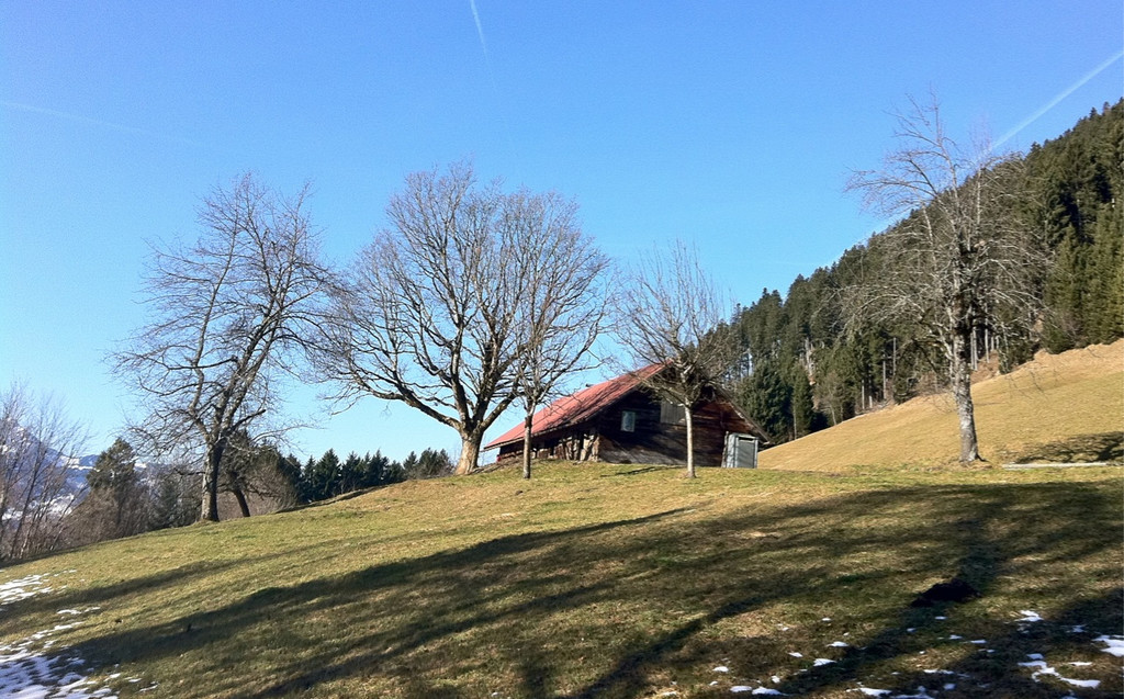 KOE_Wandertipp Gampelinalpe 18_jpg-1297188026