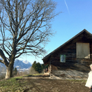 KOE_Wandertipp Gampelinalpe 21_jpg-1297188056