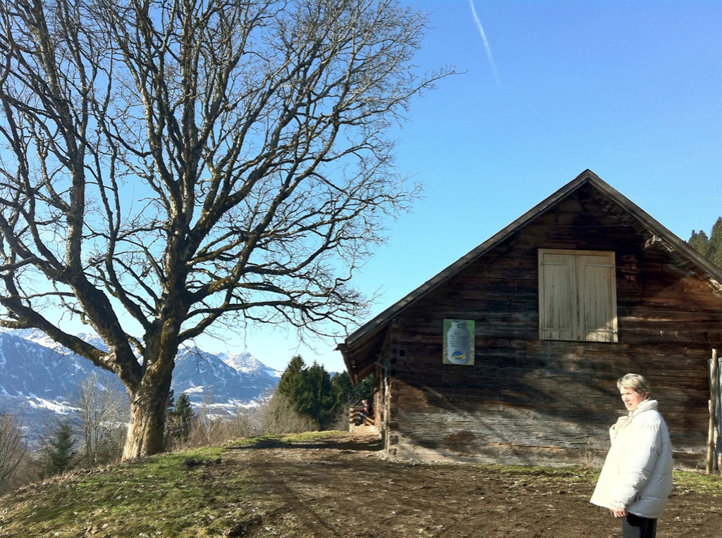 KOE_Wandertipp Gampelinalpe 21_jpg-1297188056