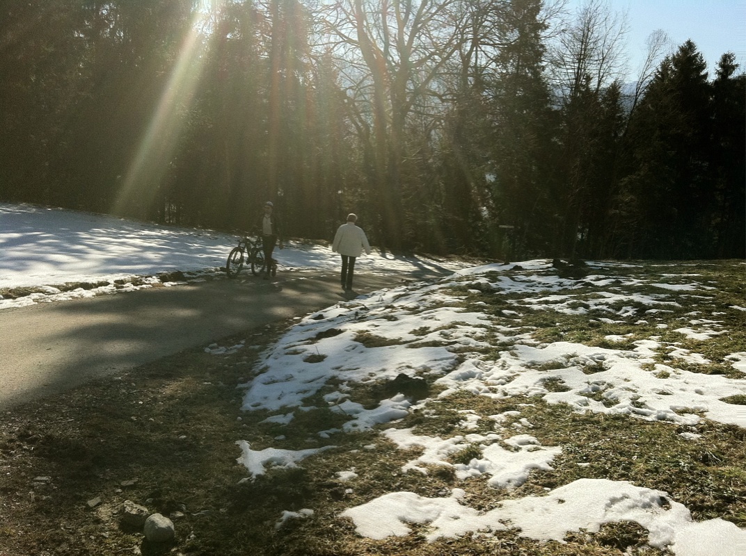 KOE_Wandertipp Gampelinalpe 26_jpg-1297188095