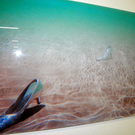 109_0597_jpg-1297199911