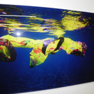 109_0595_jpg-1297200004