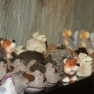DSC00096_JPG-1297200412