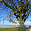 109_0699_jpg-1297207145