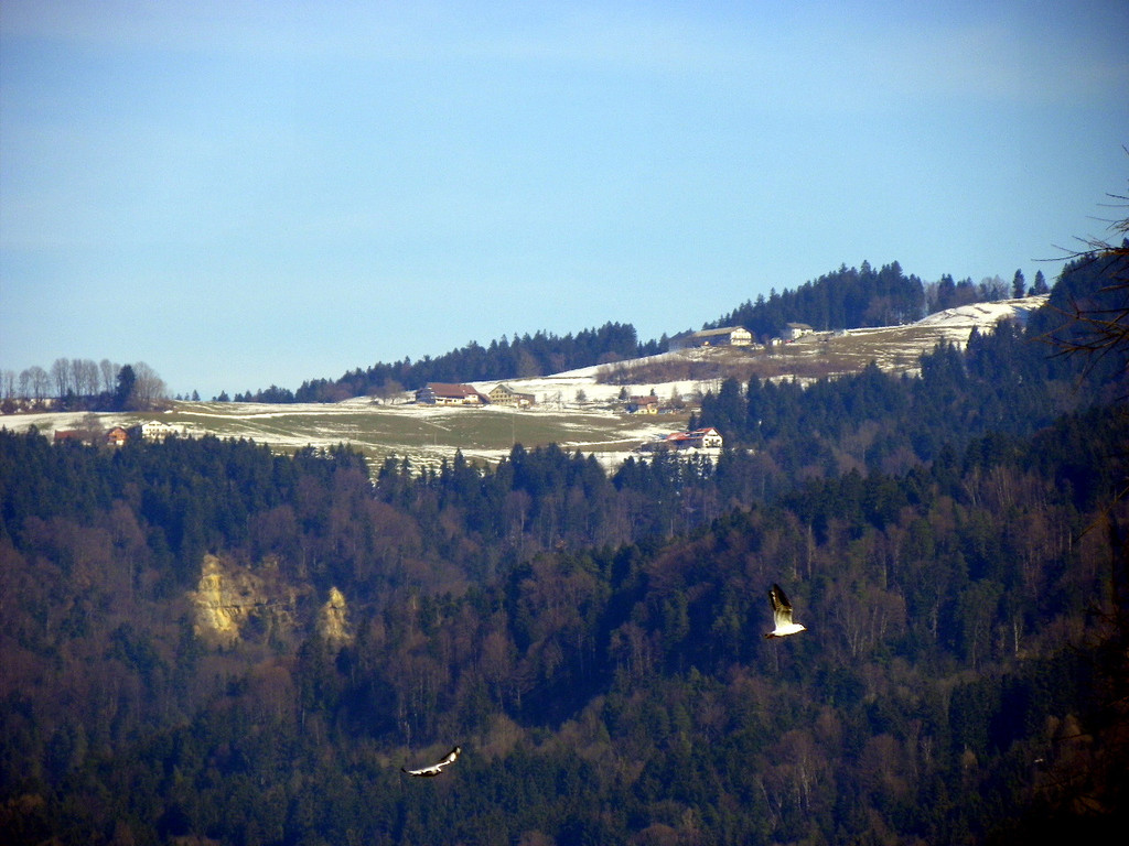 109_0708_jpg-1297207160