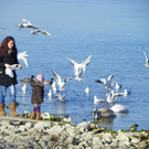 109_0726_jpg-1297207182