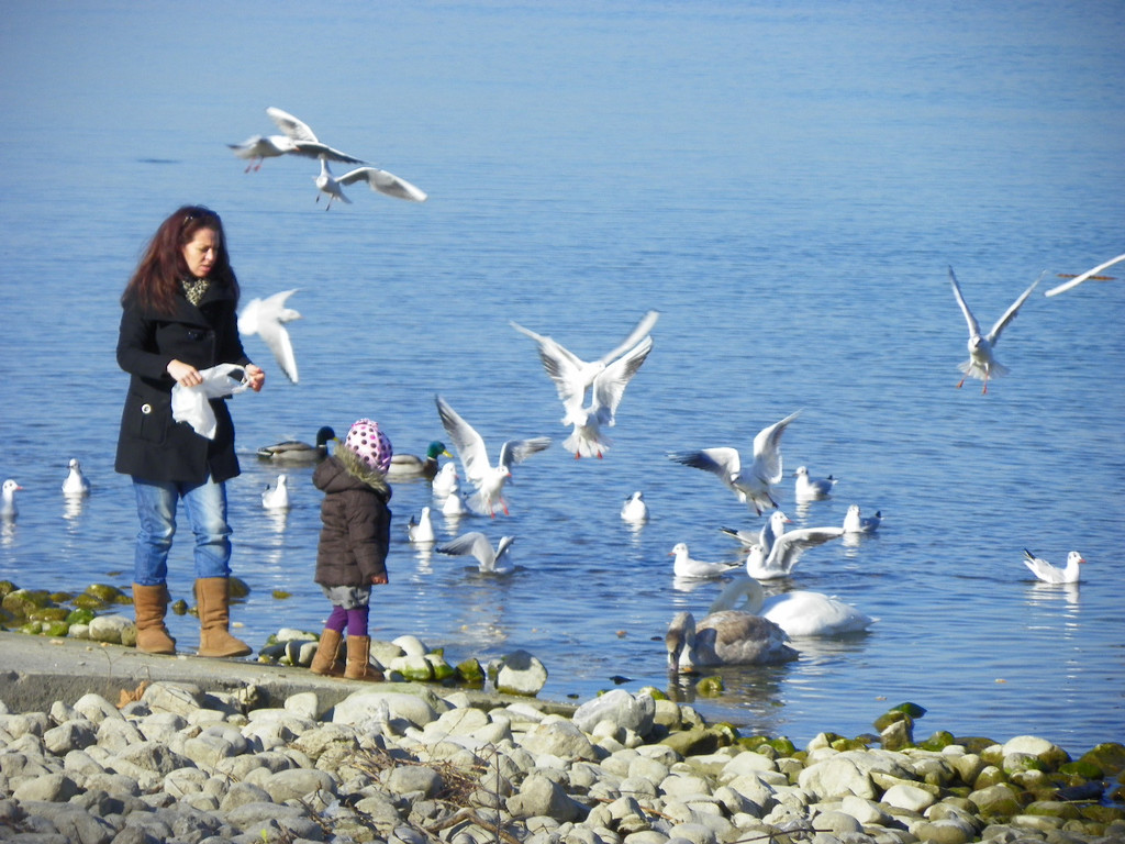 109_0726_jpg-1297207182