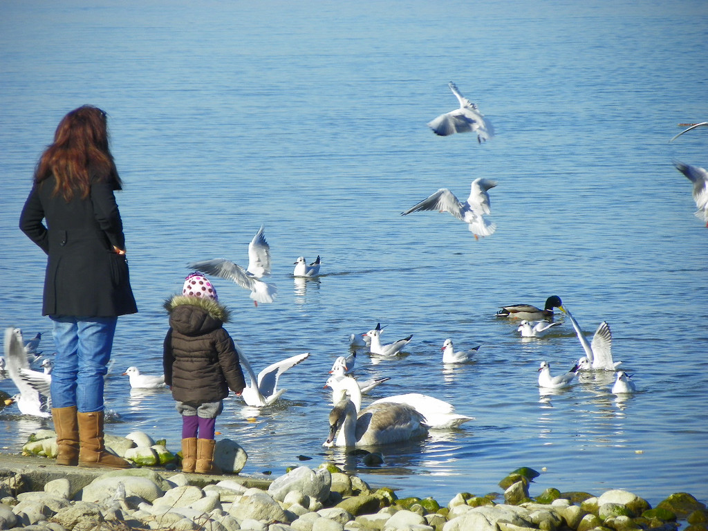 109_0728_jpg-1297207189