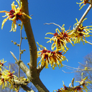 109_0685_jpg-1297207212