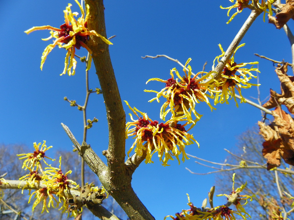 109_0685_jpg-1297207212