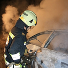 ffge_IMG_1411.jpg