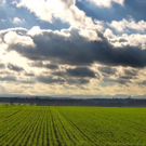 Die zehn größten Irrtümer der Menschheitsgeschichte