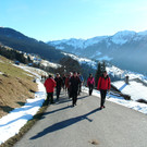 Freunde der Sattelalpe