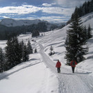 Winterwanderung zur L_ H__tte J__nner 2010 009_jpg-1297340803