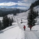 Winterwanderung zur L_ H__tte J__nner 2010 009_jpg-1297354418