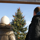 Angelika und Marcus Peschek blicken auf sch__nen Baum.JPG