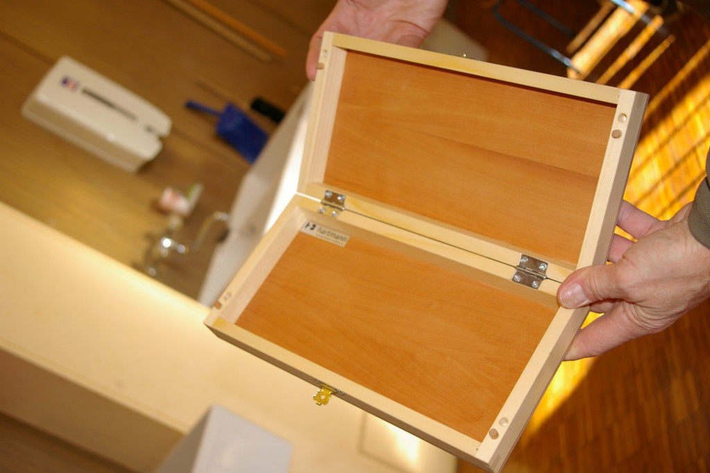 bea_MS_Satteins_Holzprojekt 021_jpg-1297369896
