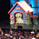 109_1711_jpg-1297386472