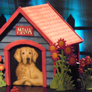 109_1713_jpg-1297386486