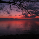 Sonnenuntergang Lochau Bodensee 2011-02-10_jpg-1297404167