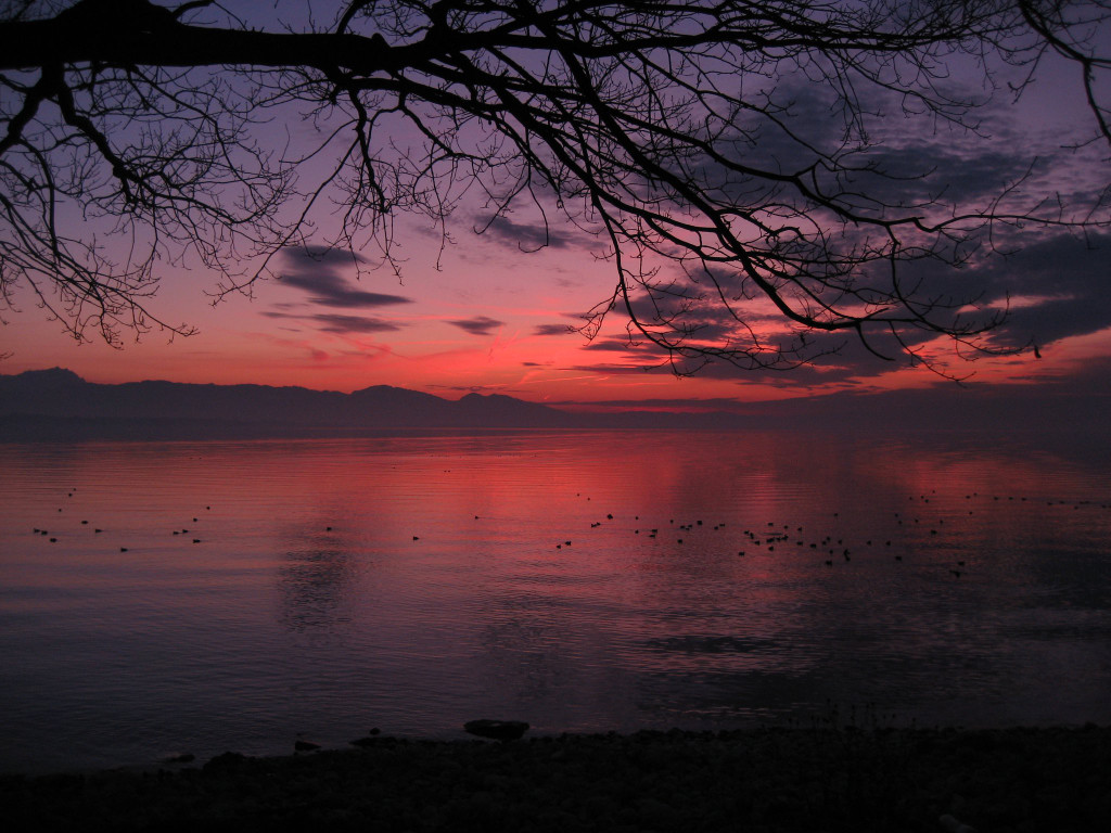 Sonnenuntergang Lochau Bodensee 2011-02-10_jpg-1297404167