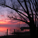 Sonnenuntergang Lochau Bodensee 2011-02-10 _2__JPG-1297404190