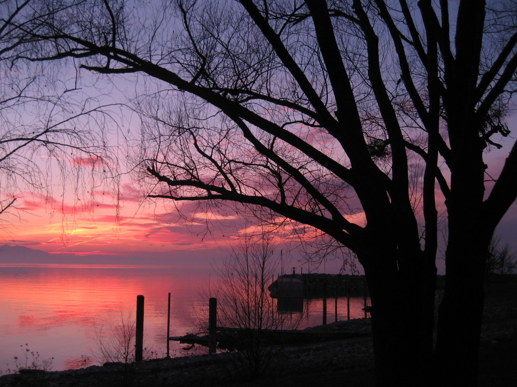 Sonnenuntergang Lochau Bodensee 2011-02-10 _2__JPG-1297404190