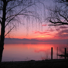 Sonnenuntergang Lochau Bodensee 2011-02-10 _4__JPG-1297404218
