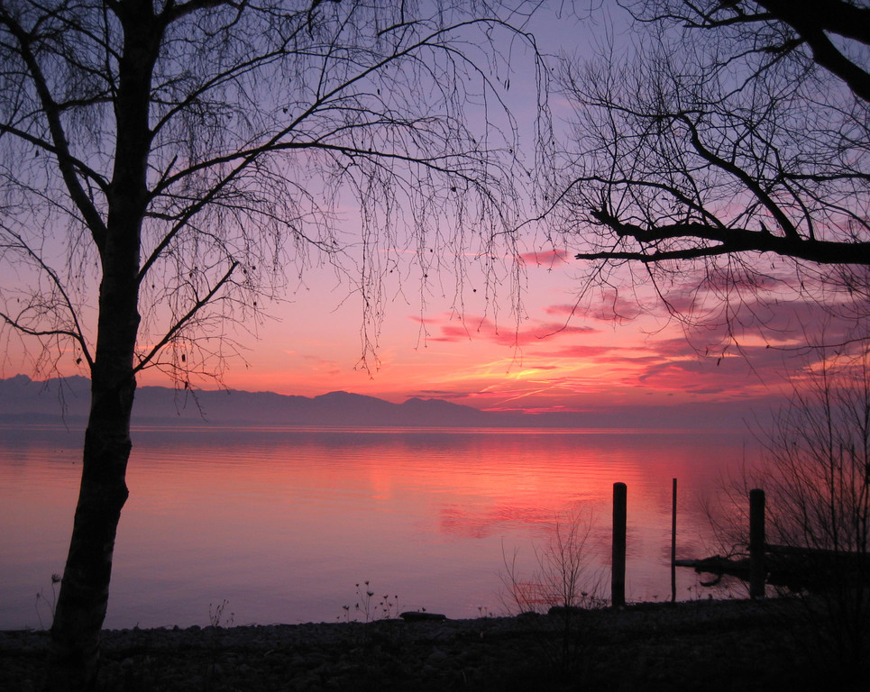 Sonnenuntergang Lochau Bodensee 2011-02-10 _4__JPG-1297404218