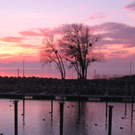 Sonnenuntergang Lochau Bodensee 2011-02-10 _7__JPG-1297404234