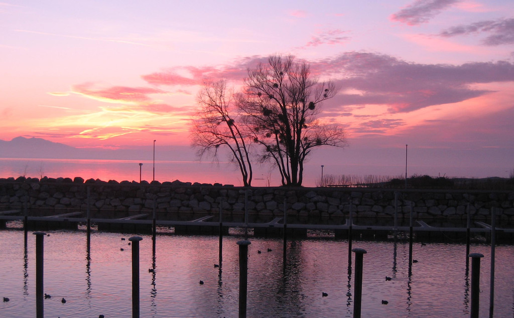 Sonnenuntergang Lochau Bodensee 2011-02-10 _7__JPG-1297404234