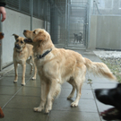 Unsere Tiere der Woche KW 6
