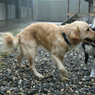 IMG_8835.jpg
