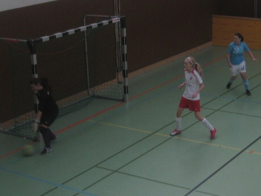 06_02_2011 - 18_ESV Hallenturnier 141_JPG-1297420805