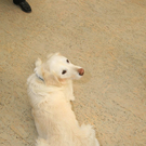 AT__0430.jpg