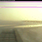 Livecam Neusiedler See (Rust)