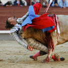 IBD0546-20110211.jpg