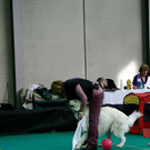 20091128_haustiermesse_0888.jpg