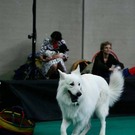 20091128_haustiermesse_0892.jpg