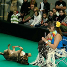20091128_haustiermesse_0912.jpg