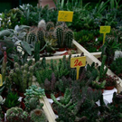 20091128_haustiermesse_0295.jpg