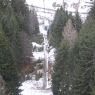 IMG_2732.jpg