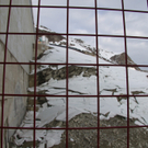 IMG_2799.jpg