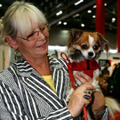 20091128_haustiermesse_0354.jpg