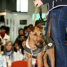 20091128_haustiermesse_0355.jpg