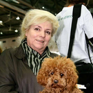 20091128_haustiermesse_0440.jpg